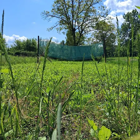 Garden For Two People With Additional River Site To Put Up Your Tent Price Includes Two Bicycles For Amazing Views And Two Water Floats For Mega River Run Check My Video On Youtube By Writing To Find And Use Your In キャンプ場 *