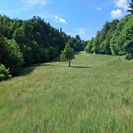 Garden For Two People With Additional River Site To Put Up Your Tent Price Includes Two Bicycles For Amazing Views And Two Water Floats For Mega River Run Check My Video On Youtube By Writing To Find And Use Your In 캠프장 *